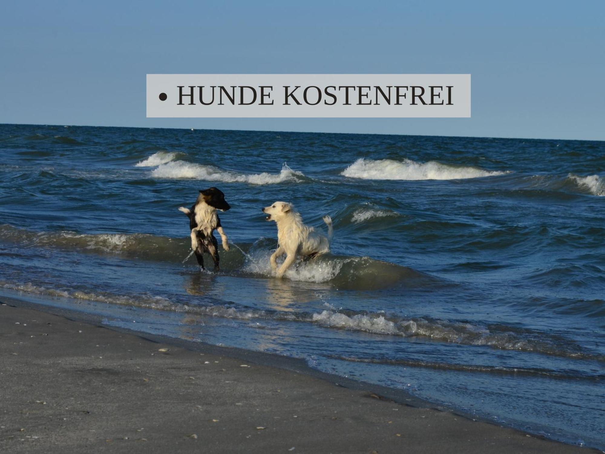 Haus Krabbe: North Sea Apartment with Pet-Friendly Stay Wremen Exterior photo